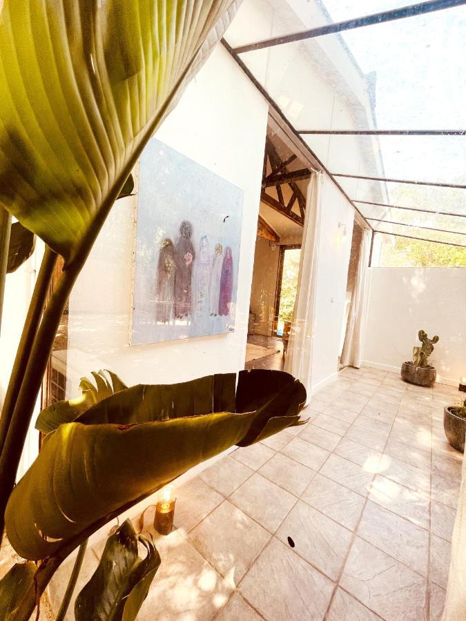 Le Patio, Jardin Privatif, Tennis Nîmes Zewnętrze zdjęcie